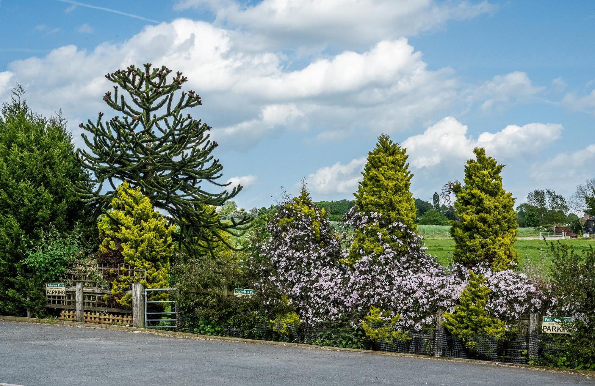 Upside Down House - Sleeps Up To 6 Guests - Great For Family And Friends Gatherings,Corporate Events ,Near Sherwood Forest At Fairview Farm In Nottingham Set In 88 Acres Eksteriør bilde